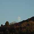 Moon Rising