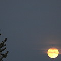 Rising Moon